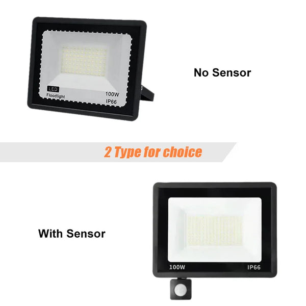 Smart Outdoor Motion Light